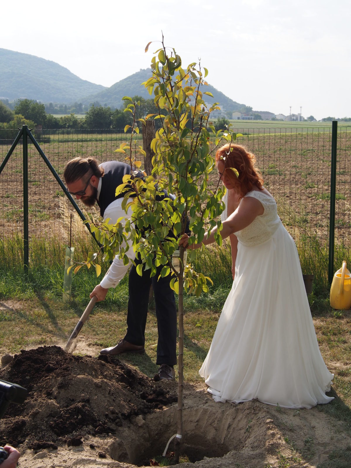 Pár mladomanželov sadí strom